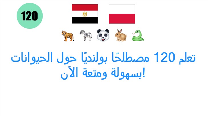 تعلم 120 مصطلحًا بولنديًا حول الحيوانات بسهولة ومتعة الآن! تعلم 120 مصطلحًا بولنديًا حول الحيوانات بسهولة ومتعة الآن!
